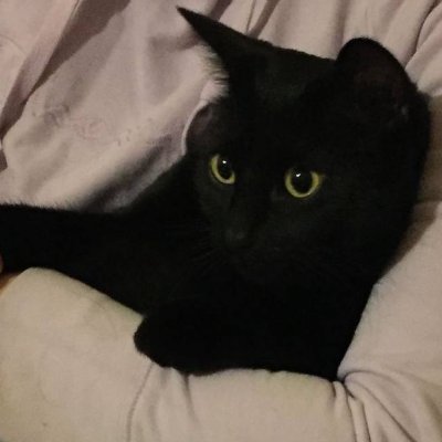 くろ@仮想通貨's profile picture
