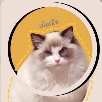 chana_nene's profile picture