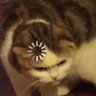 MS100011101's profile picture