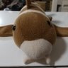 Profilbild von 駿河湾のネコザメ