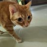 Profilbild von 我家亞亞最可愛、我家QQ也不錯!