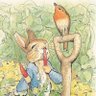 Фото профиля 🥕ゆたか🥕