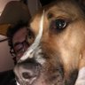 BigNate74 profil fotoğrafı