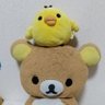 matatabi0926's profile picture