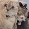 Sebastian's profile picture