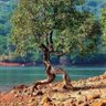 psr profil fotoğrafı