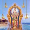 ⭐Kuppuswamy Selvaraj⭐🇮🇳 的头像