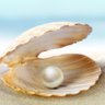 Pearl 🤍 profil fotoğrafı