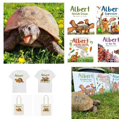 AlbertTortoise's profile picture