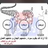 متذوق profil fotoğrafı