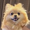 ゆ〜次郎's profile picture
