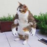 Abebe Abebi profil fotoğrafı