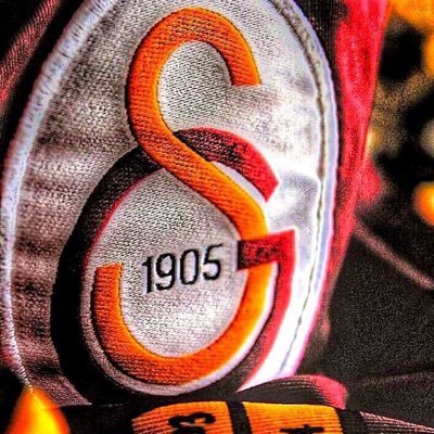 Serkan Göl's profile picture