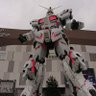 アイノー's profile picture