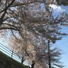 Profilbild von かた