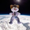 Pluto Prani's profile picture