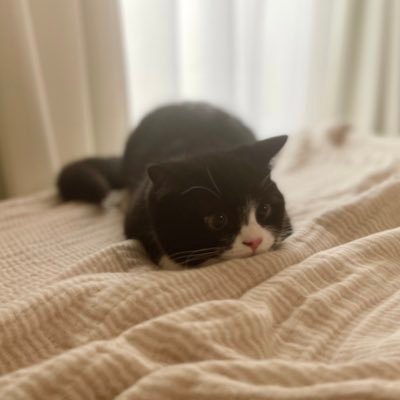 たろう's profile picture