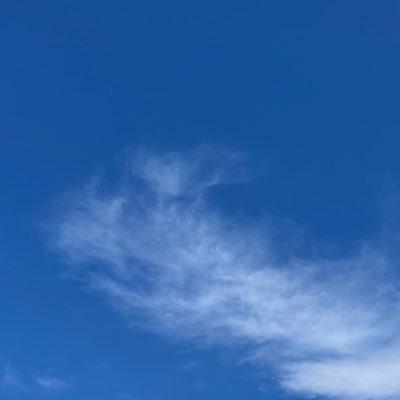 y_1cm's profile picture
