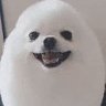 JustYose's profile picture