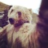 Profilbild von Techno bear