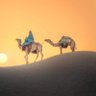 Фото профиля العراقي