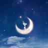 めだか's profile picture