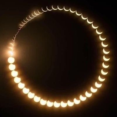 Syke72241599's profile picture