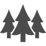 くりーむ🌲's profile picture