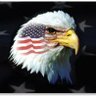 Profilbild von American Pride