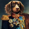 Profilbild von keffals