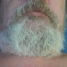 bizkaino baziado's profile picture