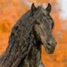 Фото профиля صلو علي النبي المختار عليه الصلاة والسلام