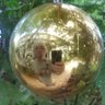 Robb Venn's profile picture