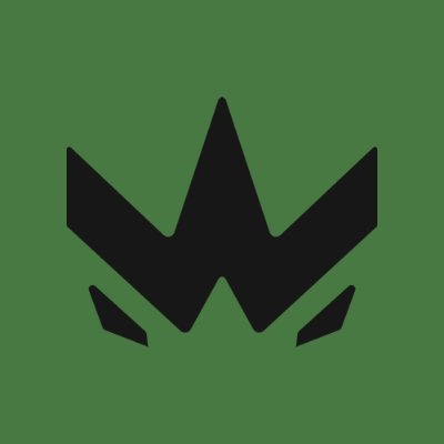 WINDINGO's profile picture