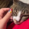 ERI ❤️💙💛KOMA profil fotoğrafı