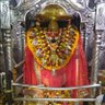 Vikas Tripathi's profile picture