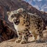 पवन profil fotoğrafı