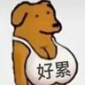 smjb's profile picture