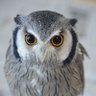 のっぷりん 的头像