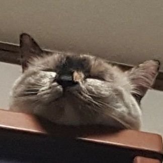 ひろ's profile picture