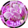 あやmj💜's profile picture