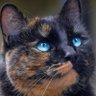 Profilbild von Val H 💙
