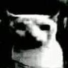 Ibai Anos's profile picture