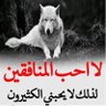 رومنسي ذوق profil fotoğrafı