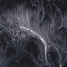 Profilbild von luna