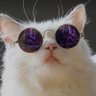 Mi's profile picture