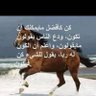Profilbild von معجب الدوسري