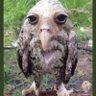 tolga ceyhan profil fotoğrafı