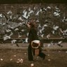 Zahra profil fotoğrafı