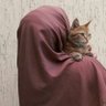 Profilbild von bintZeeshan___